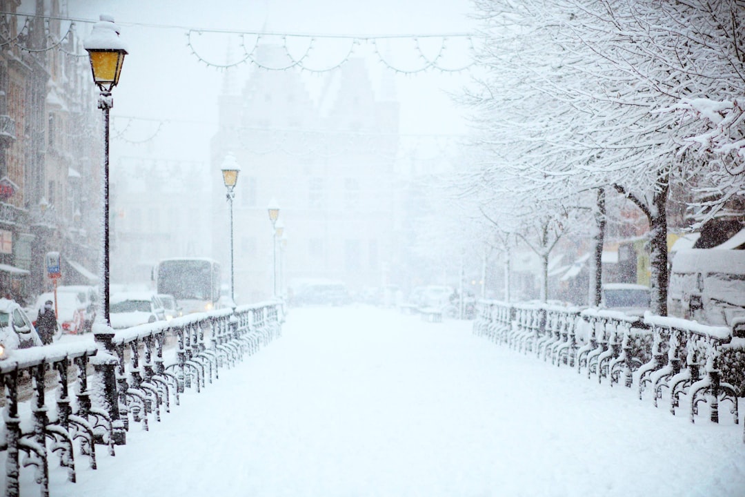 Photo Winter and summer sports