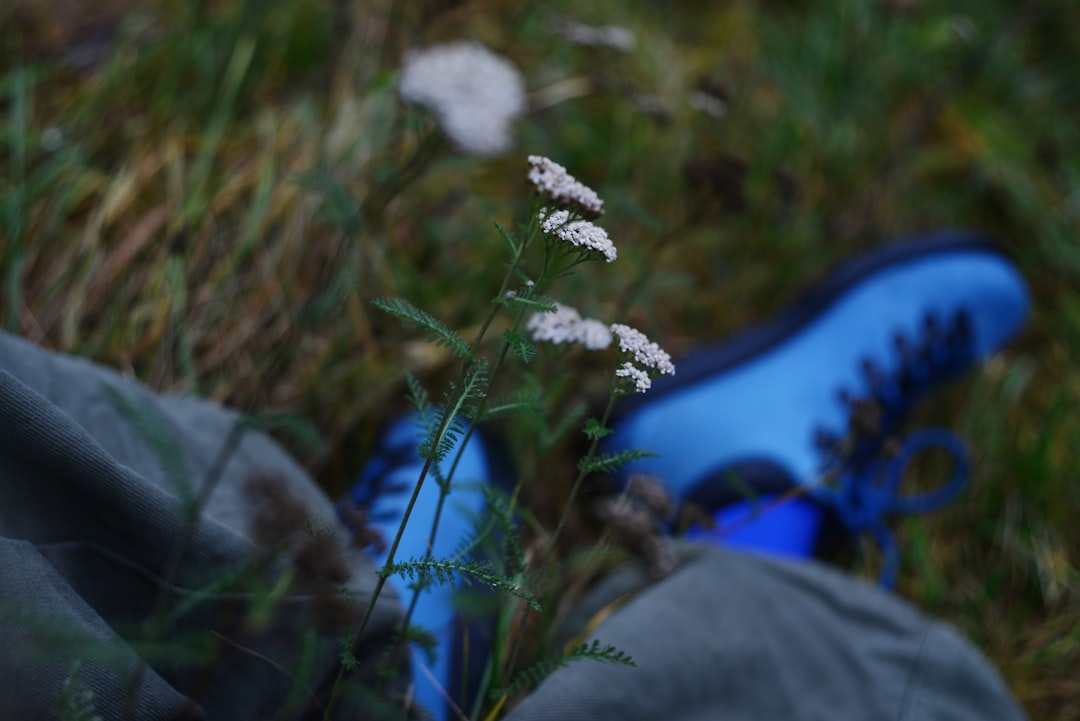 Photo floral pants
