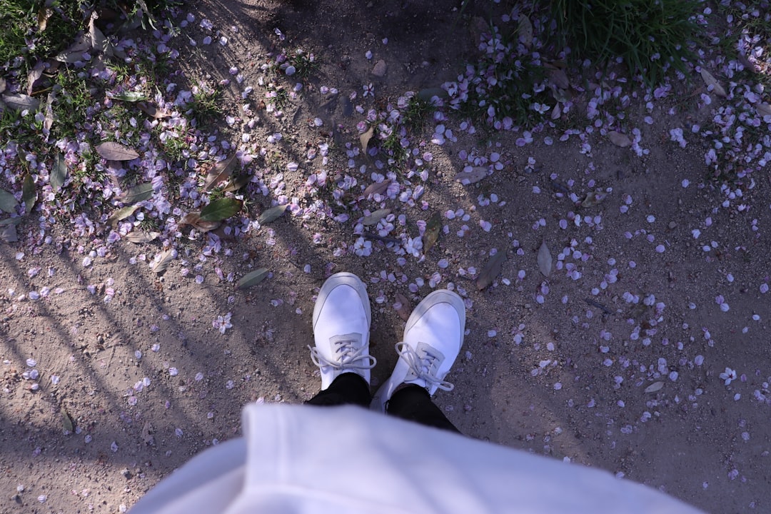 Photo cream suit